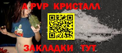 индика Новодвинск