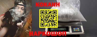 индика Новодвинск