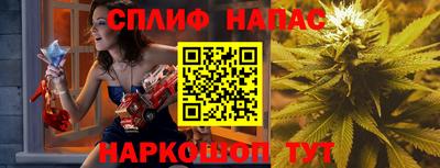 индика Новодвинск