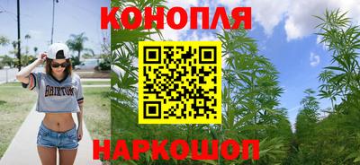 индика Новодвинск