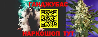 индика Новодвинск