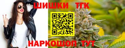 индика Новодвинск