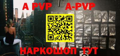 индика Новодвинск