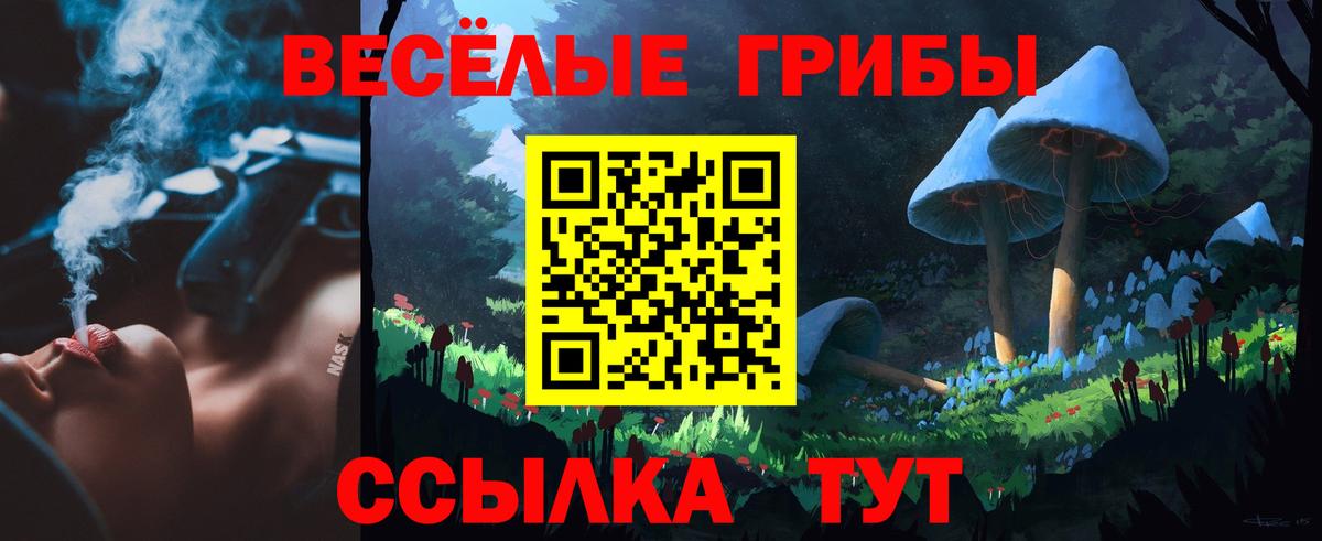 Псилоцибиновые грибы мухоморы Славгород
