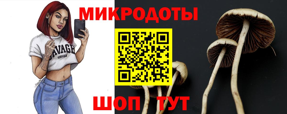 Славгород  Галлюциногенные грибы MAGIC MUSHROOMS  Вход с VPN 